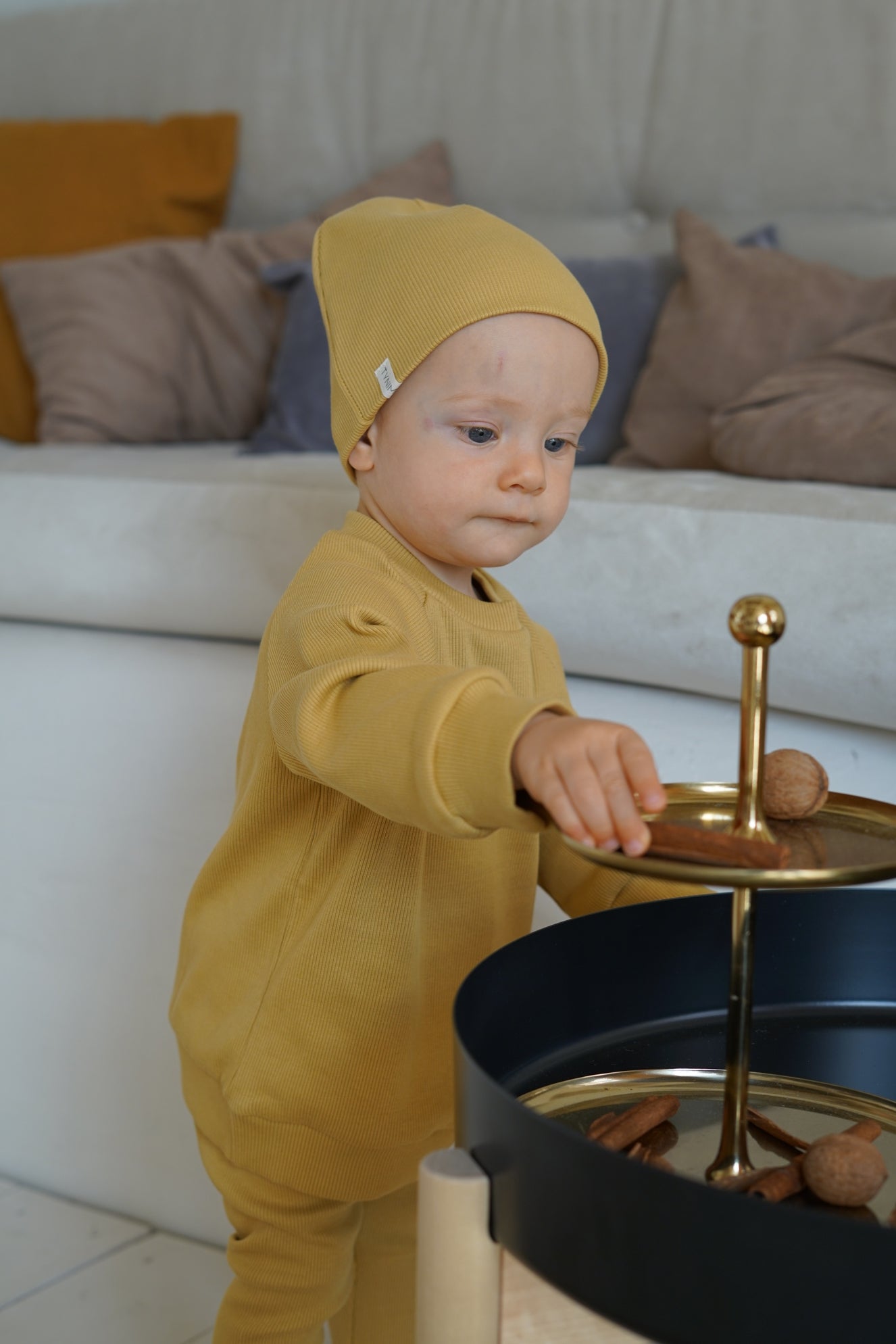 Ribbed sweatshirt Almond